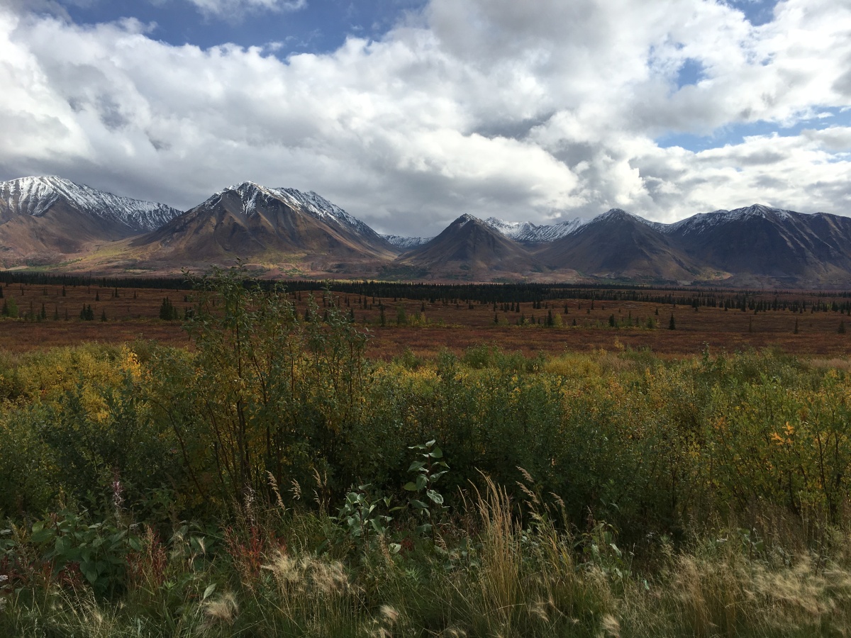 Alaska – definitely worth a visit (Part 1 – Anchorage and Fairbanks)