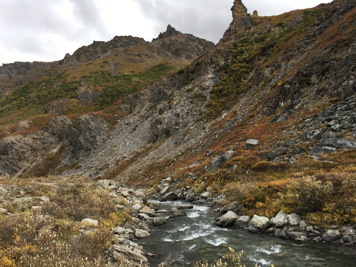 Alaska – definitely worth a visit (Part 2 – Denali National Park)